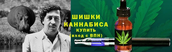 стаф Балахна