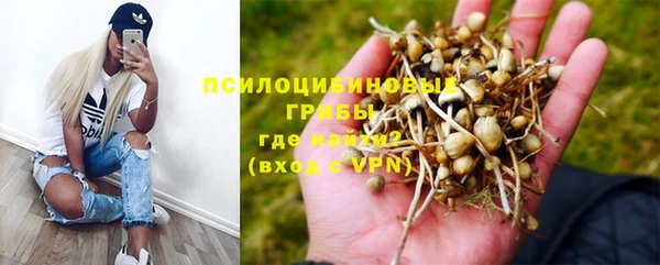 тгк Белокуриха