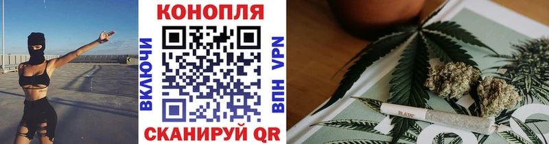 где найти наркотики  Кедровый  Шишки марихуана семена 
